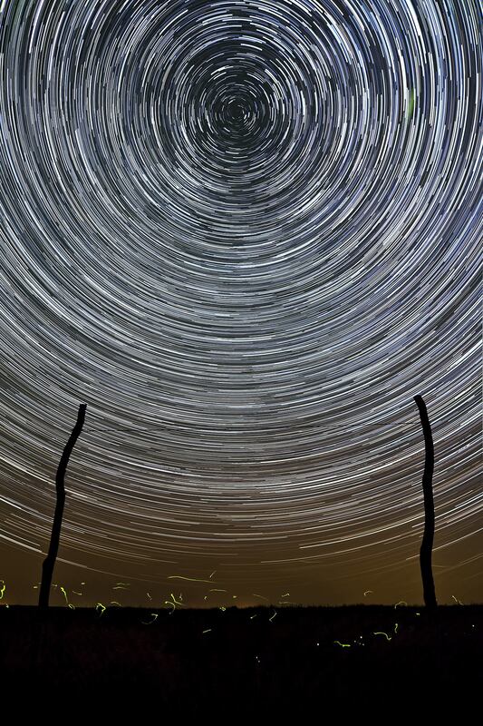 Honorable Mention – Star-trails and lighting bugs. Photo by Bill Duncan.
